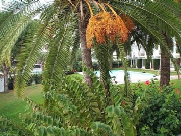 Garden view- Nerja Rentals