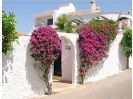 Los Limoneros 8, Nerja Rentals