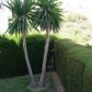 Click for full size image of part of the back garden