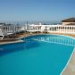 Click for full size image of Pitufo - Pool
