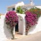 Click for full size image of Villa Front Nerja Rental