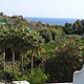 Click for full size image of Sea View - Holiday Apartments nerja