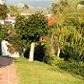Click for full size image of Gardens - Nerja apartments