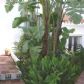 Click for full size image of House - Holiday accommodation nerja