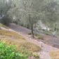 Click for full size image of Sales Properties Nerja  Garden View