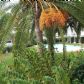 Click for full size image of Garden view- Nerja Rentals